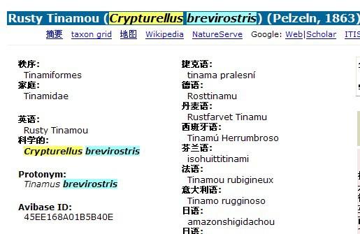 ��ɫѨ[����]��ͼƬ