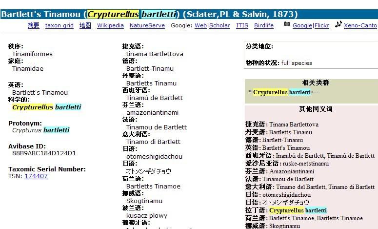 ����Ѩ[����]��ͼƬ