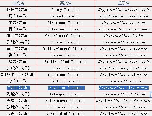 ����Ѩ[����]