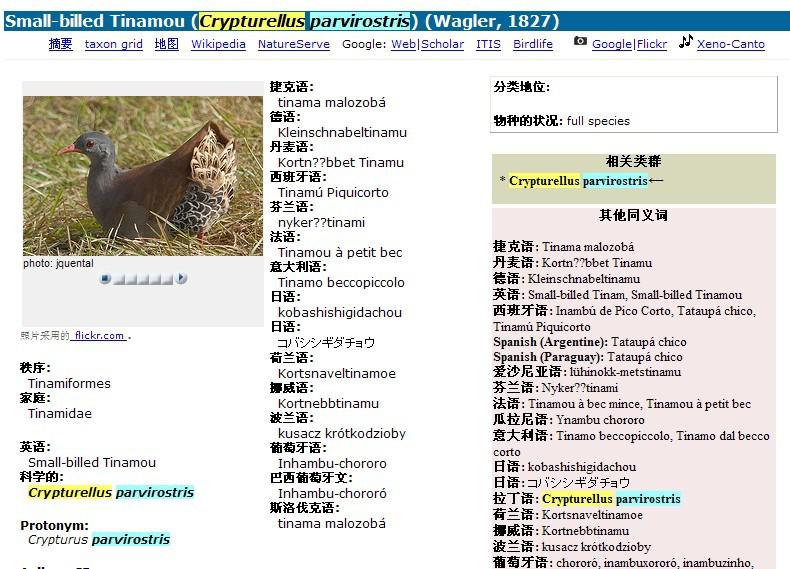 С��Ѩ[����]