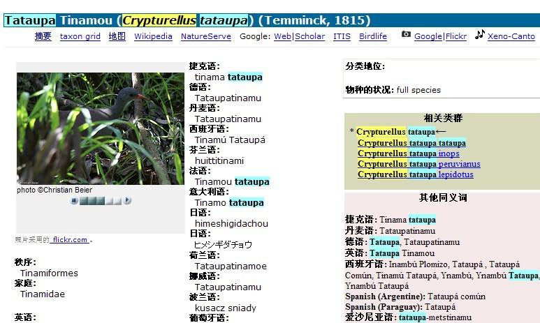 ����Ѩ[����]