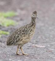 �����[����]��ͼƬ