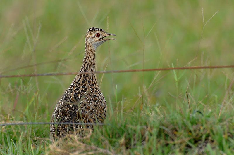 ����[����]��ͼƬ