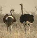 ����Ŀ��ͼƬ