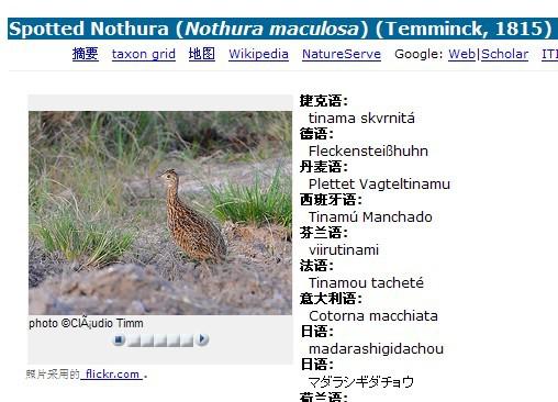 ����[����]