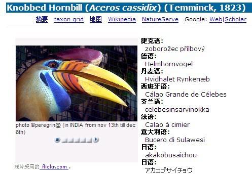 �������Ϭ��