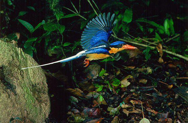 ��β�����