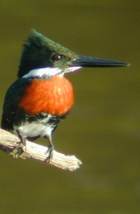 ����ѷ���㹷