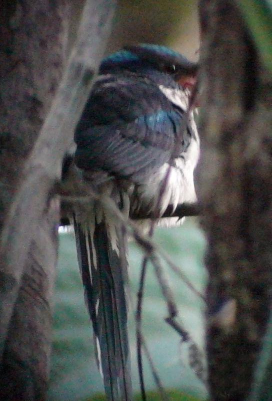 ��³�����