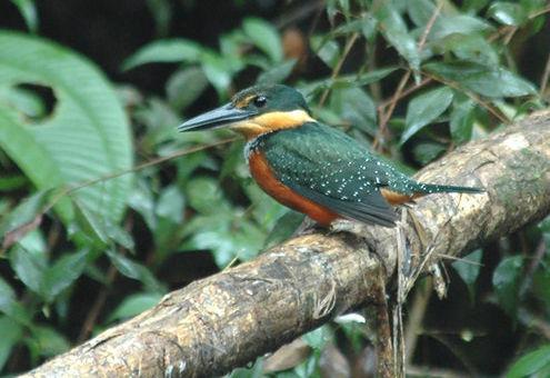 �ظ����㹷