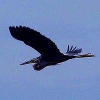 С������