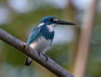 С������