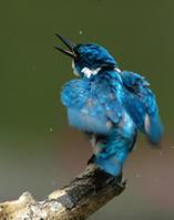 С������