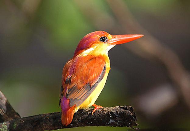 �ر���ֺ�����ͼƬ