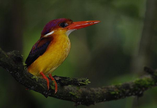 �ر���ֺ����