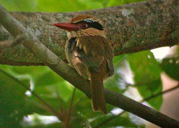 �������������ͼƬ