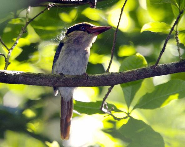 ������������