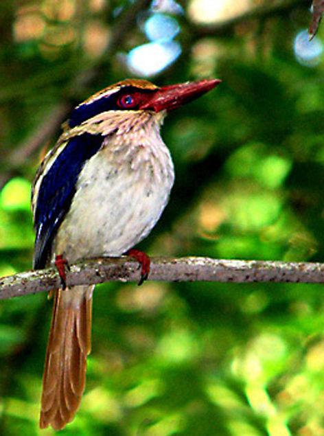 ������������