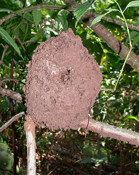 ������������