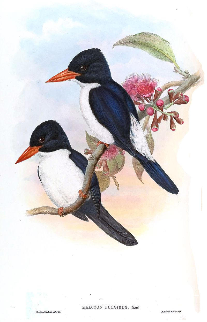 �����������ͼƬ