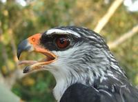 ��ü�����\