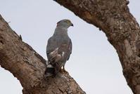 ���Ǿ���