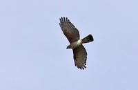 ���Ǿ���