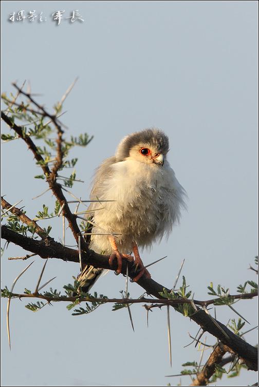 ����٪��