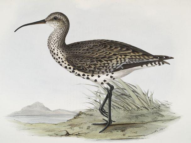 ϸ����ֵ�ͼƬ