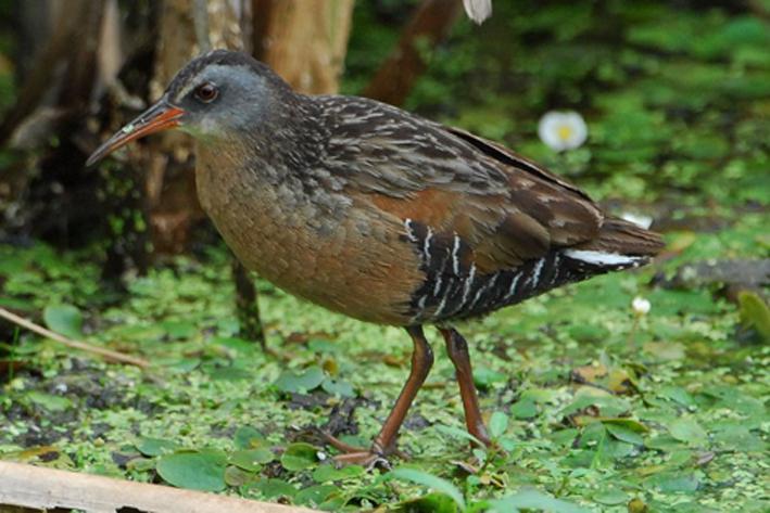 ������������