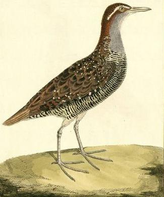 �ְ�������ͼƬ