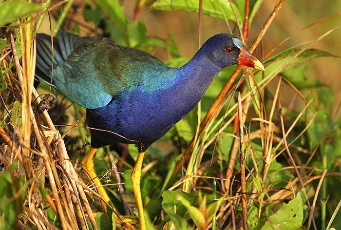 ����ˮ��