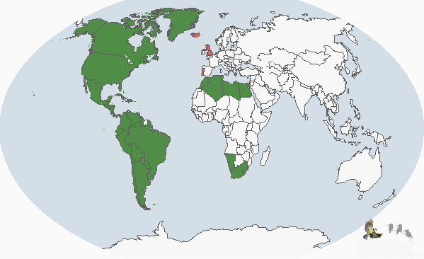 ����ˮ��