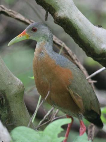 С��������ͼƬ