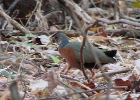 С������