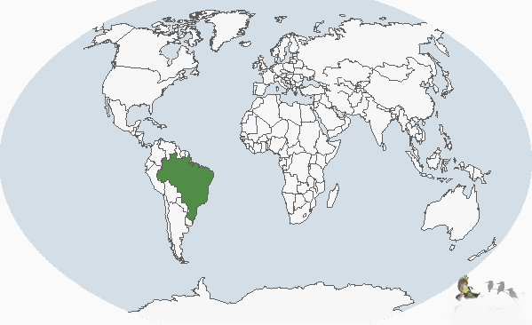 С������