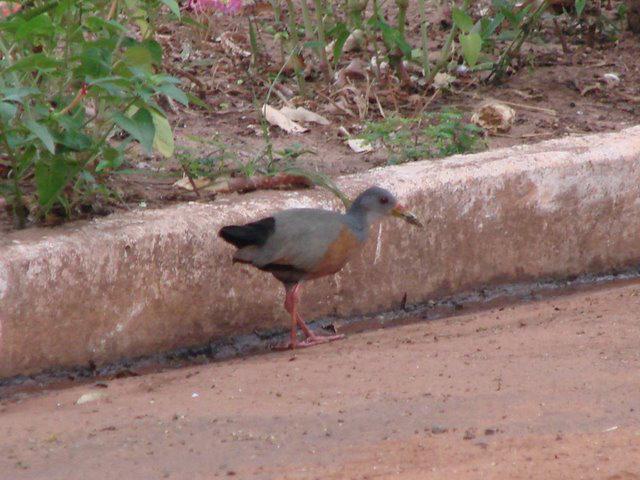 С������