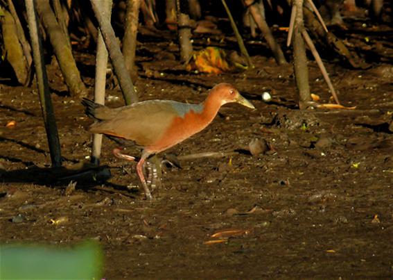 �ؾ�������