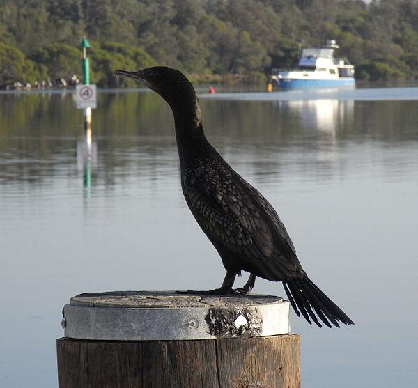 С����˵�ͼƬ