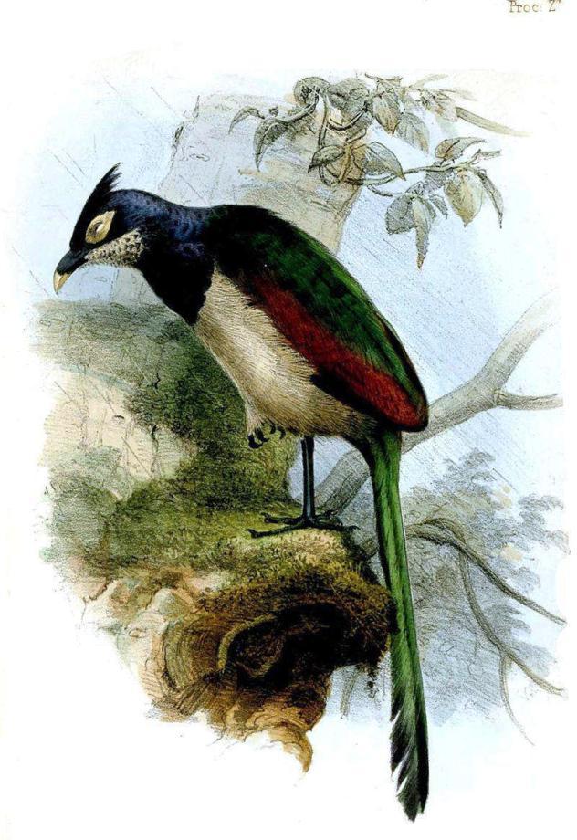 �سἦ���ͼƬ