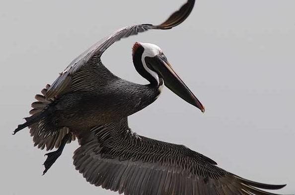 �����ɵ�ͼƬ