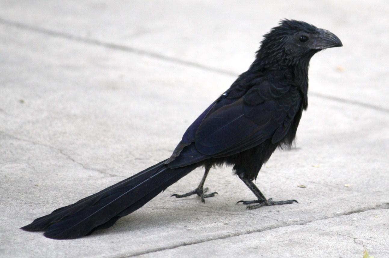 ����Ϭ���ͼƬ