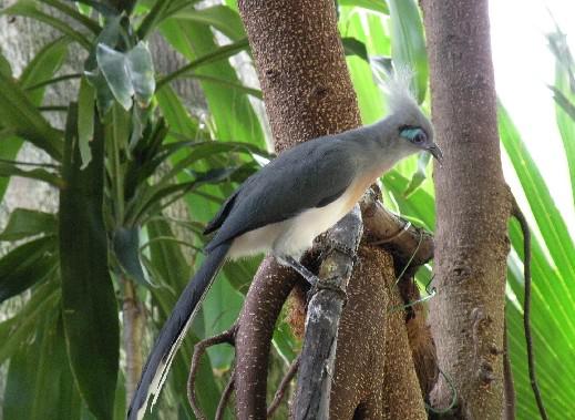 ��ͷ�������ͼƬ