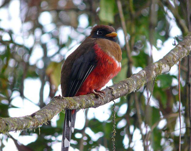 αװ����ҧ���ͼƬ