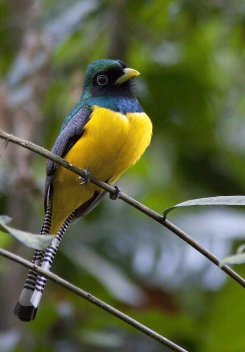 �ں�����ҧ��