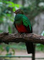 �����ҧ��