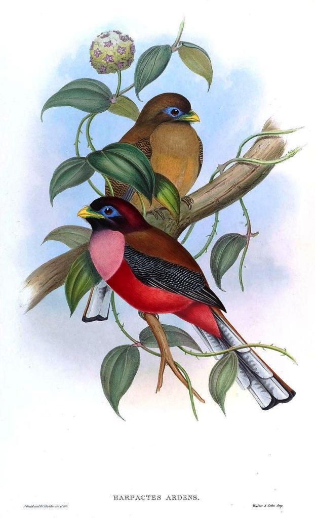 ����ҧ���ͼƬ