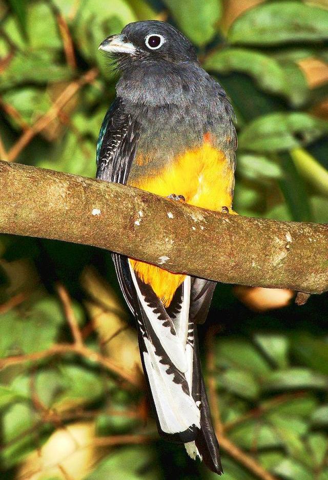 ��β����ҧ���ͼƬ