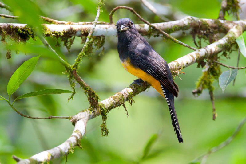 ��ͷ����ҧ��