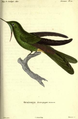 ͭβ��������ͼƬ